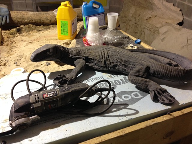 Black Throated Monitor Lizard (in progress)