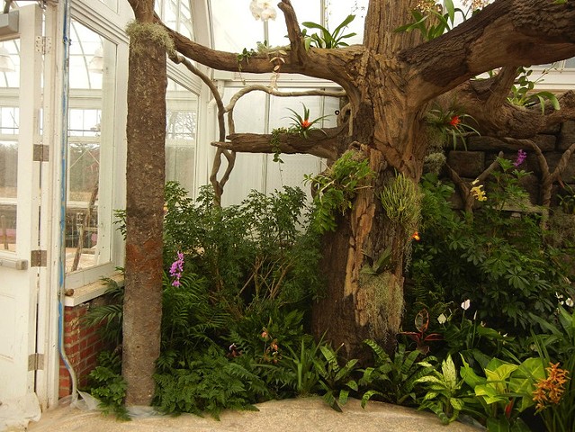 Orchid Range, Orchid Whimsy Greenhouse; Duke Farms