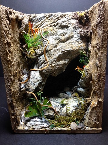 Eyelash Viper/Costa Rican Coastal Cave; Zoo Atlanta