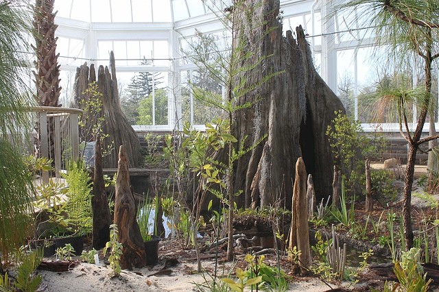 South Eastern Coastal Plain Greenhouse; Duke Farms