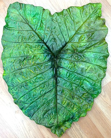 Taro Leaf