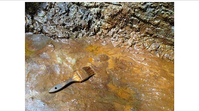 Soil/Mud Bank.  Fresh Acid Stain