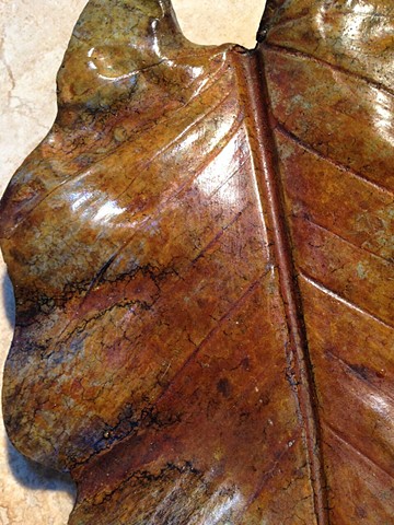 Philodendron Leaf