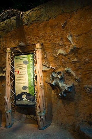 San Antonio Zoo; Africa Live